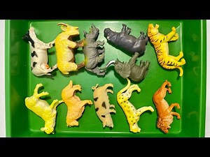 Animal Toys Collection 🦁🐄 | Super Satisfying! 🤗