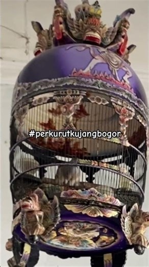 Ring WAT Predator