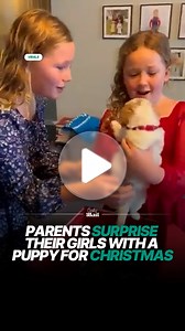 The girls will never forget this Christmas 🎄 #Christmas #surprise #puppy | Daily Mail Animals