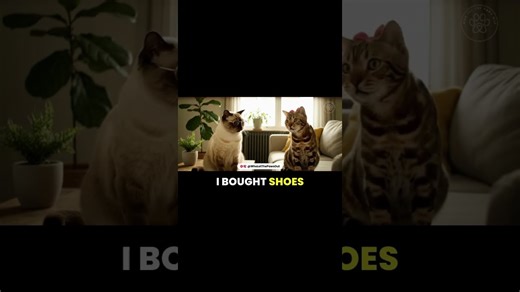 Married Cats Arguing Like Humans… TOO RELATABLE 😂🐱💔 | Funny AI Cat Couple