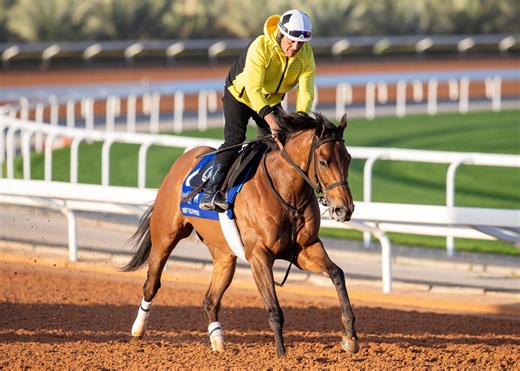 Reef Runner Ready To Roll In 1351 Turf Sprint