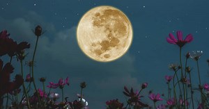 Calendario lunar de mayo 2026: fases de la luna, corte de pelo y depilación