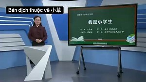 我是小学生：语文一年级课堂教学内容