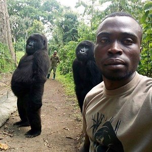 poop_sock1724 - Twitch