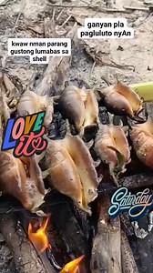 gsnito pla paginiiihaw ang shell #adsonreels2025 #lornasanchez #fbviralvideos | Lorna Sanchez