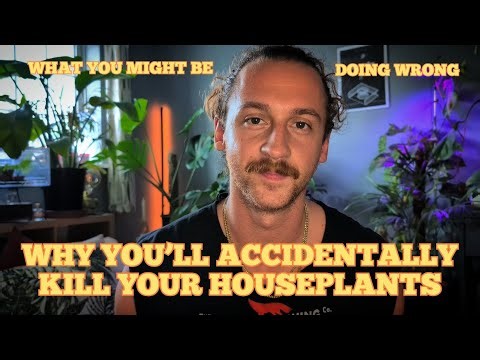 Why You’ll Kill Your Houseplants (And How to Stop It) 🌿 | Houseplant Care Tips