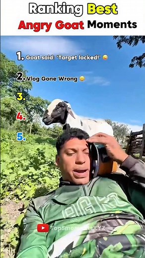 Top 5 Best Ranking Angry Goat Moments #shortsfeed #shortvideo