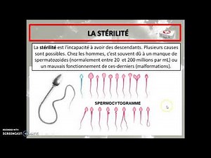 Cours 50 - La sexualité et la reproduction