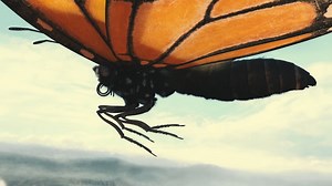 Watch Flight of the Butterflies for Free Online | Pluto TV