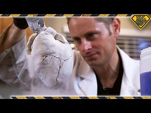 Dissecting Hearts With Liquid Nitrogen