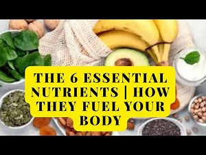 The 6 Essential Nutrients | How They Fuel Your Body & Boost Vitality