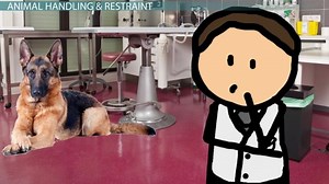 Interacting with Animals at a Veterinary Hospital