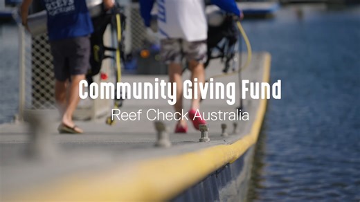 14 reactions | Did you know Reef Check Australia are working on the Peel Island Reef Restoration project in Moreton Bay? This project is the first of its kind, with Moreton Bay labelled as a 'Hope Spot.' Brisbane Airport is proud to support Reef Check Australia through our Community Giving Fund. Applications for the 2024 Community Giving Fund grants are opening soon, sign up here to learn more: https://brnw.ch/21wGbc4 | Brisbane Airport | Facebook