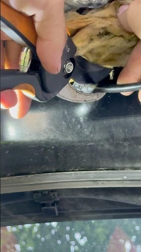 Windshield washer fluid not squirting, How to fix in Toyotas. Scions. Quick and easy.