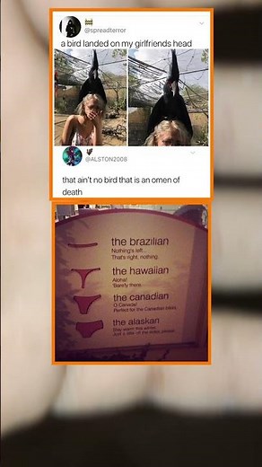 The Internet Is Way Too Funny 😂