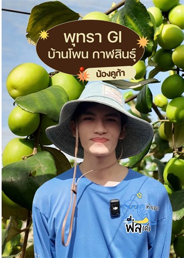 น้องคูก้า แอบกระซิบบอกตัวช่วยที่ทำให้พุทรานมสด ผลผลิตจึ้ง #โปรเจ็คฟิลด์ #เกษตรกรรุ่นใหม่ #พุทรา #เมตาโลเสท #Metalosate