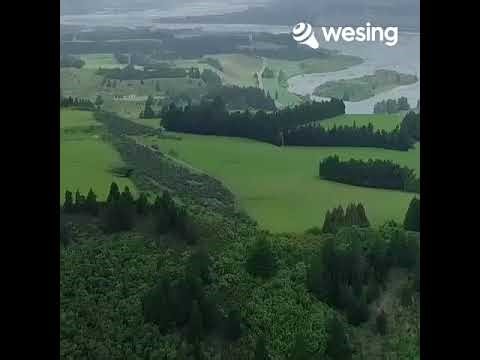 Bunga surga rhoma- Rita( cover by Sanjaya)