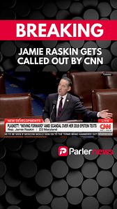 Jamie Raskin called out for defending Stacey Plaskin texting Jeffrey Epstein during a Congressional hearing in 2019. RASKIN: "However ill-advised it may have been, she took a phone call from one of her constituents." CNN: "To be clear, [Plaskett] initiated the text exchange." | Parler News