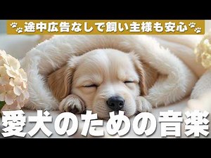 犬が落ち着く音楽 (12時間広告なし) 🐶 犬をリラックスさせる音楽 | 癒しピアノBGM / 雷対策 / vol.1019