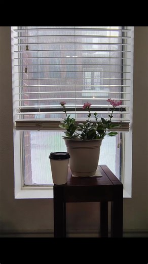 4 Creative Border Design Ideas for Aesthetic Appeal