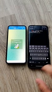 telegram-get-remote-ip