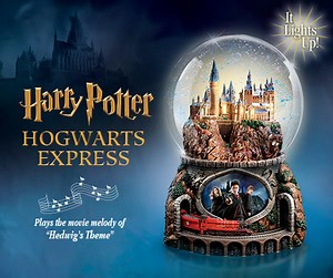 310K views · 529 reactions | Enjoy HARRY POTTER magic in a musical...