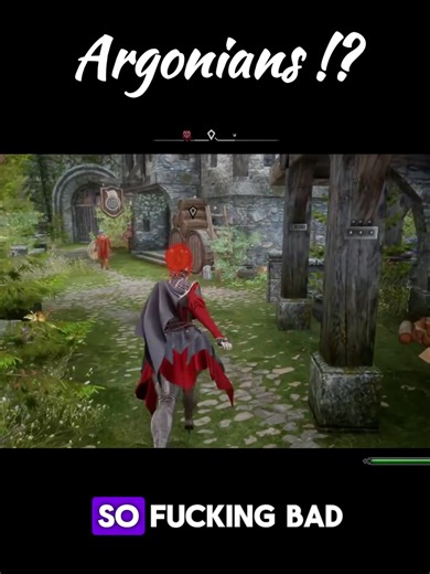 These damn Argonians... #skyrim #skyrimmodded #mods