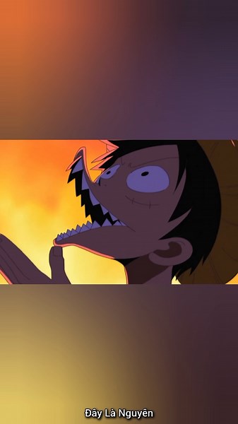 Luffy thuộc tộc người Shandia #onepiece #luffy #zoro