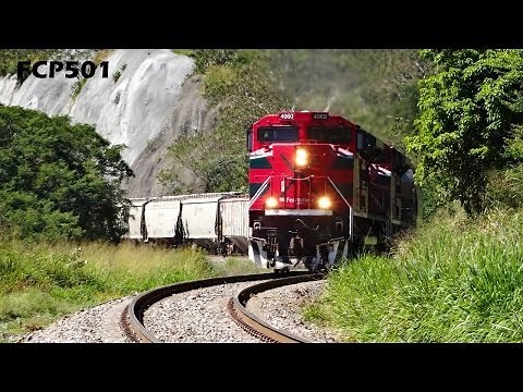 Ferromex y Ferrosur: Varios Trenes en Tuxpan Jalisco, Distrito Sayula "I"