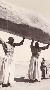 170K views · 1.1K reactions | #Incroyable  en 5 images sur le...