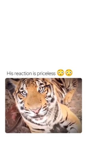 Memesoffixials | His reaction after the slipper treatment It Might be Dangerous to Perform Something Like This So Just Take It as fun , Do not try to... | Instagram