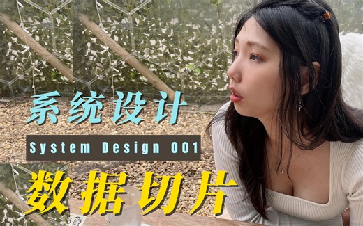 教媳妇系统设计001-数据分片 (Data Sharding)