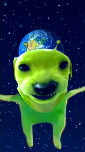 Super alien dog #funny #memes