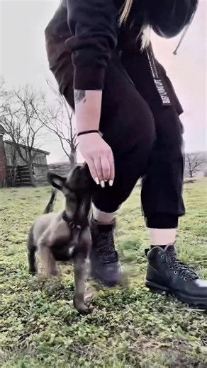 169K views · 7K reactions | Techno Dance Music on Reels | Facebook