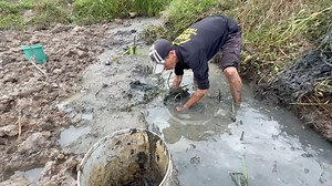 249K views · 1.5K reactions | Kênh YouTube “ 2 Lúa Miền Tây “ Chúc cả nhà xem clip vui vẻ !!! | Hai Lúa | Facebook