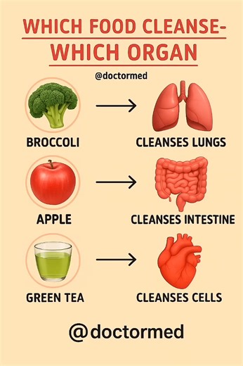 Top Detox Foods That Cleanse Your Organs Naturally | Broccoli, Apple & Green Tea Benefits Discover how simple foods can naturally cleanse your body from the inside out! 🥦🍎🍵 Broccoli helps cleanse your lungs and improve breathing. Apple supports a healthy intestine and digestion. Green tea flushes toxins and cleanses your cells for glowing health. 🌿 Add these superfoods to your daily diet and feel the difference — your body will thank you! 💚 #detoxfoods #naturalcleanse #healthtips #bodydetox