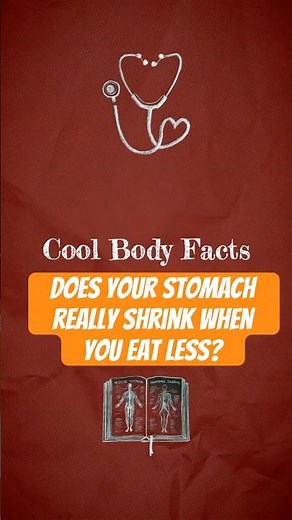 Does Your Stomach Really Shrink When You Eat Less?