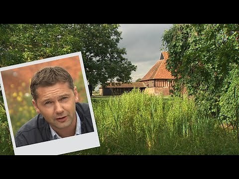 Peasants Revolt - Timelines.tv