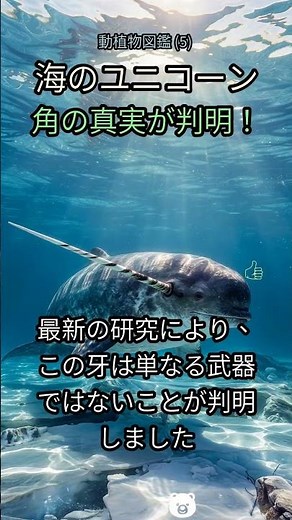5. 「海のユニコーン」の衝撃真実❄️その角の謎を解き明かせ！ #イッカク #海のユニコーン #奇妙な生物 #深海生物 #謎の動物