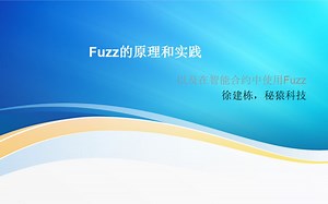 Fuzz的原理和实践，以及在智能合约中使用Fuzz
