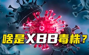 啥是XBB毒株？