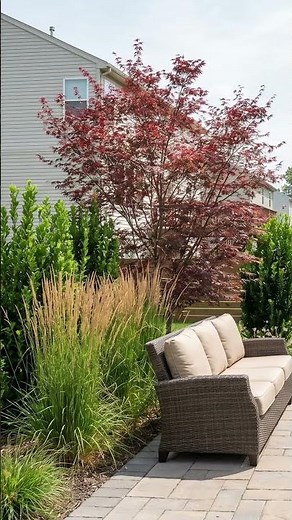Backyard Privacy Tip! Start here... #backyardprivacy #gardentips #privacyplants #gardenprivacy