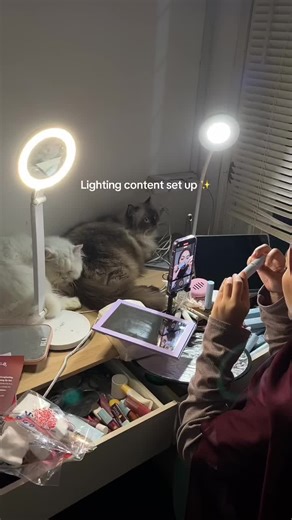 Lighting Setup Tips for Stunning Photography