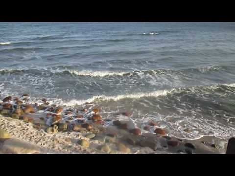 Ostsee: Strandpromenaden und Seebrücken von Grömitz, Dahme, Kellenhusen und Heiligenhafen