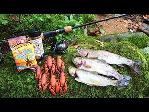 Crawfish and Trout Cookout on the Appalachian Trail!