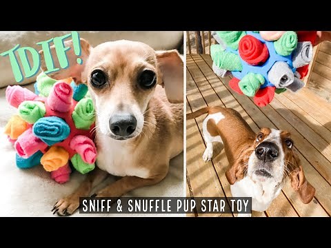 How to make an interactive dog toy Sniff & Snuffle Pup Star