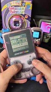 Tamagotchi Game boy #tamagotchi #gameboy #retro #gamer #collection