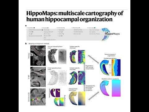 224-HippoMaps: Cartography of Human Hippocampal Organization