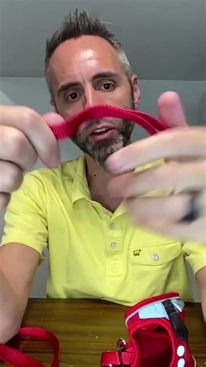 Understanding the Cat Leash