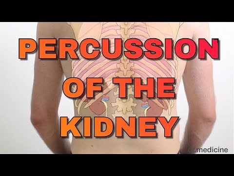 Percussion of the Kidney | Easy Clinical Skills for Medical Students